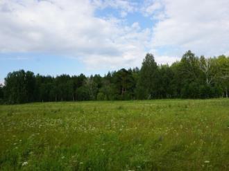 Купить земельный участок, Сысертский район, Кашино